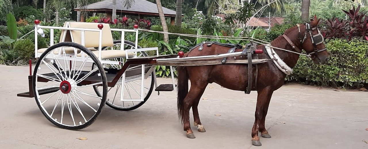 Horse Cart rides within the Resort